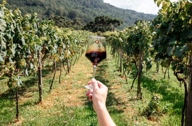 Vinícola Jolimont – 5% OFF
